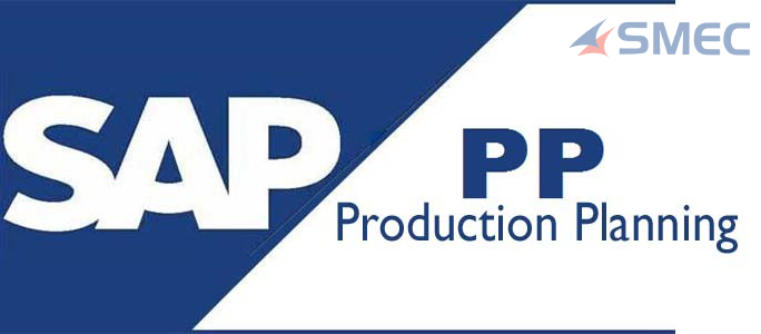 SAP PP Course